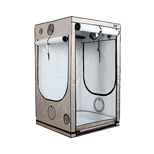 Eastside Impex HOMEbox Ambient Q120