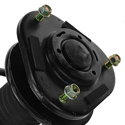 Image of TRQ Front Driver and Passenger Side Strut and Spring Assembly Set Loaded | TRQ Front Driver and Passenger Side Strut and Spring Assembly Set Loaded