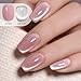 Double Rhythm 0.5 OZ Cat Eye Gel Polish with Magnet 15ML Holographic Glitter Shimmer Translucent Jelly Color Magnetic Polish Salon DIY at Home (Silver-MC1019)