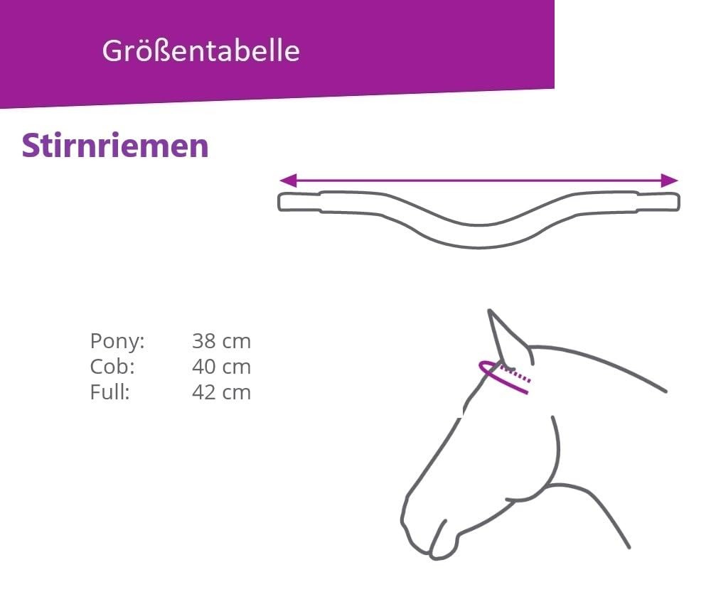 ARBO-INOX® - Stirnriemen - Sattelschmuck - Stiefelclip - Strass (Full, STIRNRIEMEN)