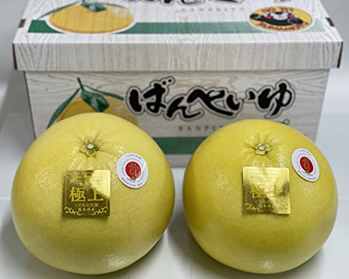 �΂�؂���i�Ӕ��M�j�ɏ� 2�ʓ��i3.9�`�ȏ�j2L�T�C�Y�i���܃�����p�܁E�p���t���b�g�t���j�I���W�i���u�����h�������̓V����� �F�{������Y ���l�E���b�Z�[�W�Ή���