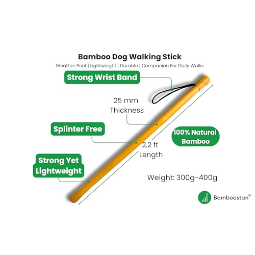 Image of Bamboo Dog Walking Stick 66cm (25mm) Matte Gold - Lightweight Splinter-Free Dog Training & Control Stick with Wrist Strap - Pet Safety & Walk Management Aid