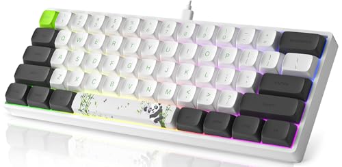 MIHIYIRY 60% Wired Gaming Keyboard, 61 Keys SK Mechanical Keyboard, RGB Backlit Compact Gaming Keyboard Red Switch for WIN/Mac/PC/PS5
