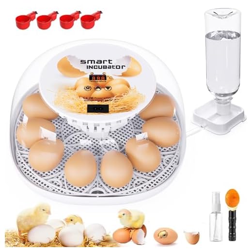 12-Egg Incubator with Automatic Functions