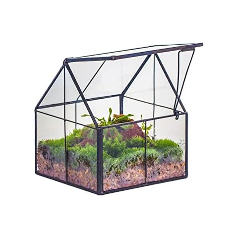 NCYP Mini Glass Geometric Terrarium with Lid Cover