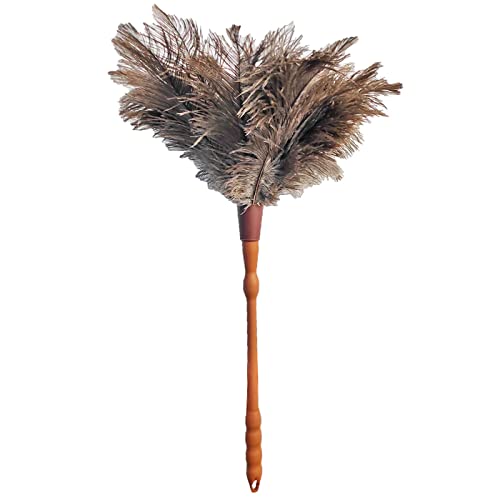 Acan Tradineur - Plumero de Avestruz con Mango torneado de plástico y Plumas Suaves, Lavable, Limpieza de Polvo, Telas de araña, hogar, Oficina (60 cm)