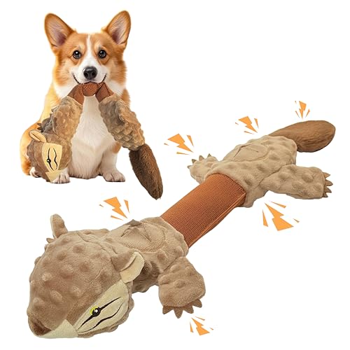 Goboloto Tug of War Dog Toy, Interactive Dog Toys for Aggressive Chewers, Squeaky Squirrels Puppy Toys for Small,Medium,Large Breed