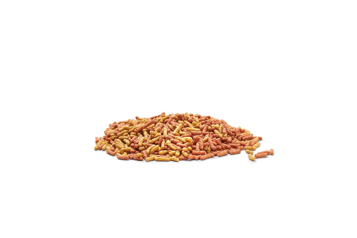 OASE Dynamix Sticks Mix 20 L, Nourriture pour Poissons, Nourriture pour Poissons de Bassin, idéal pour l'élevage Mixte de Poissons de Couleur Naturelle et Rouge, Croissance régulière