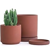 Small Plant Pots Set, 4.5 Inch & 6 Inch Unglazed Terracotta Planter Pot for Plants with Drainage ...