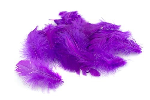 5g Bastelfedern 5-10cm (lila/purpur 465) // Dekofedern Hühnerfedern Marabu Federn Schmuckfedern Marabufedern Cover