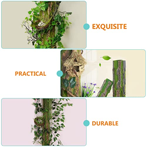 Buying Guide FOMIYES Fish Tank Background Sticker Aquarium Poster