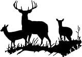 Deer Buck Family Animal Wildlife Vinyl Graphic Car Truck Windows Decal Sticker - Die cut vinyl decal for windows, cars, trucks, tool boxes, laptops, MacBook - virtually any hard, smooth surface