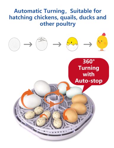 Triocottage 12 Clear Egg Hatching Incubator With Automatic Egg Turning And Auto Water Replenishment For Chicken Eggs And Quail Egg #TOP3