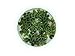 Asian Watermoss, Salvinia cucullata, Live Aquarium/Aquatic/Freshwater/Floating/Pond Plant, Planted Tank, Aquascaping by Aquarium Plant Center (6 Plants)