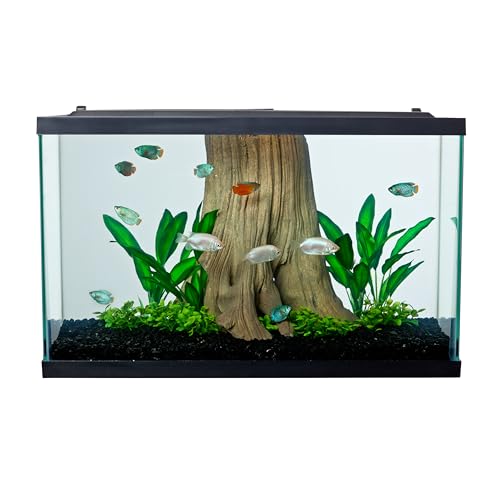 Image of Tetra Glass Aquarium 29 Gallons, Rectangular Fish Tank, Assorted Color