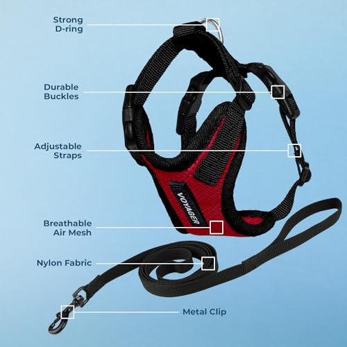 Image of Voyager Escape-Proof Step-in Lock Cat Harness & 5ft Neoprene-Handle Leash Set All-Weather Mesh with Reflective Stitching for Small to Large Cats by Best Pet Supplies, Red /Black Trim, XS