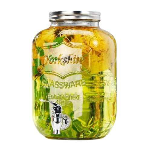 パーティー用 ジュース ディスペンサー,漏れ防止透明ジャグ 蛇口付き | ジュースディスペンサー 蓋付き - シャンパン バーベキュー ピクニック パティオ ビュッフェ キャンピングカー旅行 誕生日 クリスマス用