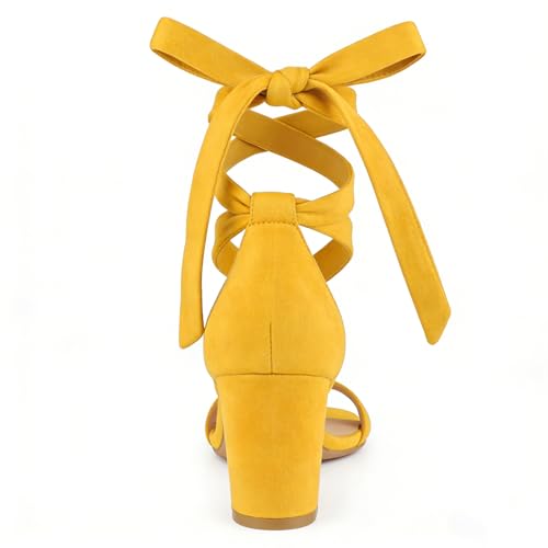 Image of JOY IN LOVE Women's Lace Up Heels 3 Inch Chunky Block Heel Strappy Sandals