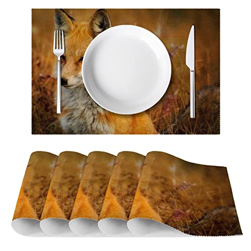 Sets de table pour tables à manger Fox Closeup, lot de 6 pièces thermorésistantes