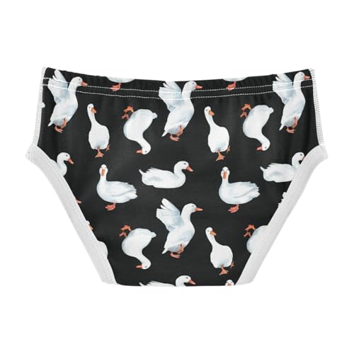 Little Boys Briefs Cute Duck Soft Cotton Toddler Underwear in Sizes 2/3t, 4t, 5t, 6 and 82