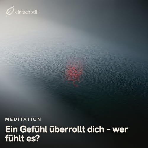 Ein Gef&uuml;hl &uuml;berrollt dich &ndash; wer f&uuml;hlt es?