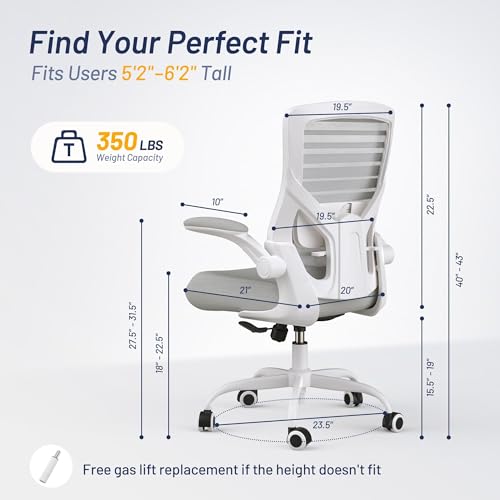 Image of Office Desk Chair for Long Hours & Lower Back Pain Relief - 4 inch Thick Molded Foam Cushion, Enhanced Lumbar Support, Padded Flip-up Armrests, Ideal for Office or Study (Light Gray)