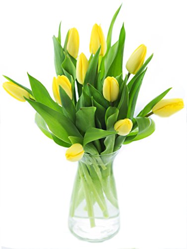 Blooms2Door Yellow Tulips