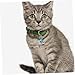FUTUREORYY 16pcs Small Multi-Function Metal Pet Collar Bells Wear-Resistant Decorative Dog Cat Collar Accessories for Training and Outdoor Use Random Style