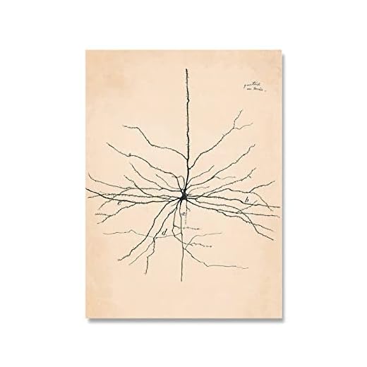 XCPORA Santiago Ramon Y Cajal Neuron Zeichnung Poster und Drucke Retro-Malerei Santiago Ramon Y Cajal Leinwand Wandkunst Wohnkultur Bild 50x70cm ohne Rahmen