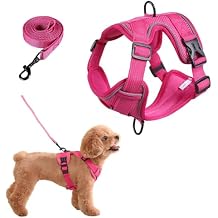 SOLMOONY Small Dog Harness,Soft Mesh Puppy Harness and Leash Set,No Escape Cat Harnesses for Training Walking,Reflective Adjustable Puppy Vest for Small Medium Dogs, Cats Hot Pink, M