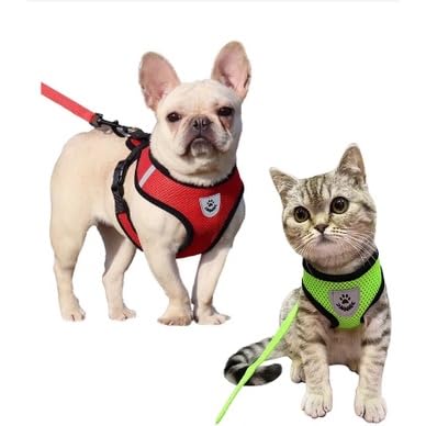 Coleira Colete Pet Peitoral Respirável Com Guia Ajustável Para Cães E Gatos (S (P), Vermelho)