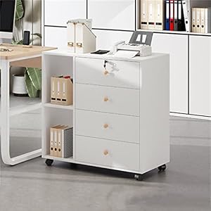 キャビネット デスクワゴン デスクファイルの 引き出し オフィスキャビネットロー オフィス収納(白)
