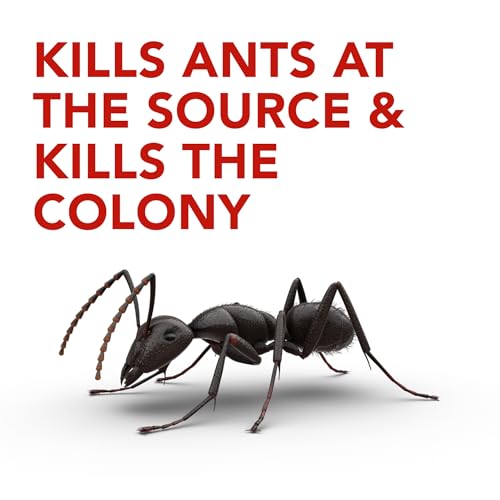 Raid Ant Killer Baits and Traps, Kills Ants Where They Breed, for Indoor Use, Child Resistant, 4 Bait Stations image 4