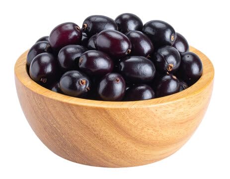 Image of Live Jamun Fruit Plant (Syzygium cumini) ? Black Plum Tree for Outdoor Gardening | Fast Growing, Healthy Live Plant ? Pack of 1