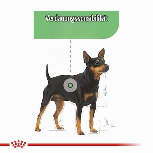 Royal Canin Digestive Care | Doppelpack | 2 x 12 x 85 g | Nassfutter für ausgewachsene Hunde | Ab dem 10. Lebensmonat | Für Hunde mit empfindlicher Verdauung geeignet