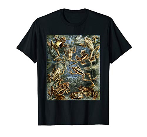 Frogs - Ernst Haeckel Art Nature Biology Animal Toad T-Shirt
