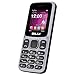 BLU Z4 Z190 Unlocked GSM Feature Phone w/Built-in Flashlight - Grey