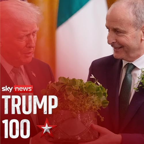 Did Donald Trump just call for a united Ireland?