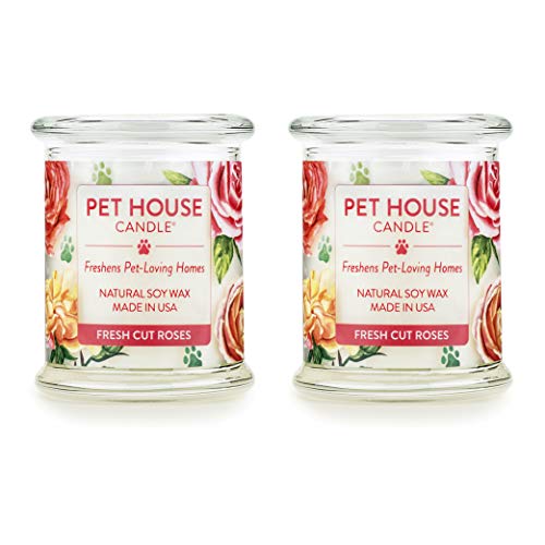One Fur All 100% Natural Soy Wax Candle, 20 Fragrances - Pet Odor