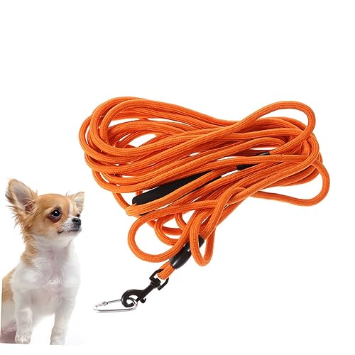Sangle de formation pour chiens et chiots 10m pour stopper les fuites orange