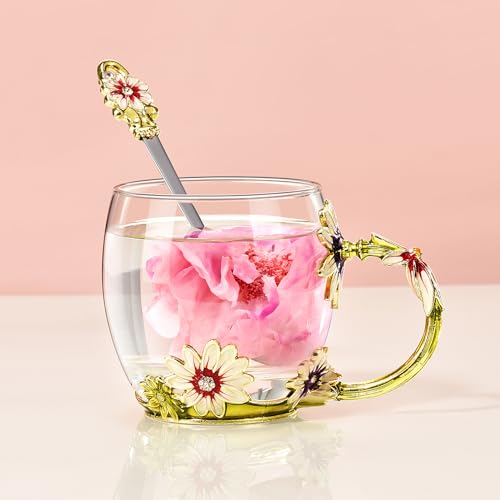 Wisolt Wellness Geschenke für Frauen Teetasse Glas Geschenke für ältere Frauen ihre Weihnachten Jahrestag Valentinstag Muttertag Lehrer Freund mit Löffel Set