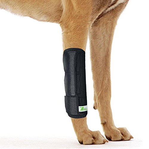 RockPet Gelenkbandage für das Vorderbein ihres Hundes (L/XL)