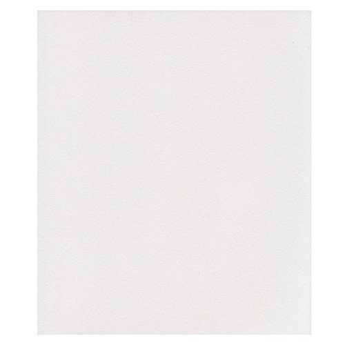 エスケント 色画用紙 ケント紙 スターライト 四切 アイスブルー 50枚 5796504