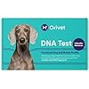 ORIVET Dog DNA Test Kit Labrador Retriever Full Breed Profile Puppy Testing Against 250 Medical Health Risks Traits Genetic Fingerprint Wellness Plan at Home Cheek Swab