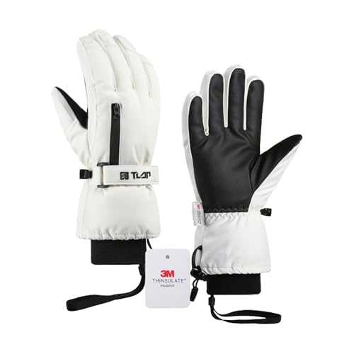 [SHINPUR] XL[O[u y3MVT[gE2{ۉ́zh Xm[{[hO[u XL[ hO[u h ۉ ʋC  ~ H 5{w^b`plΉ ~ oR V  jp(zCg, LTCY)