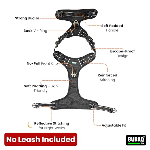 Image of Buraq Pets No Pull Dog Harness | Soft Padded for Small to Large Dogs