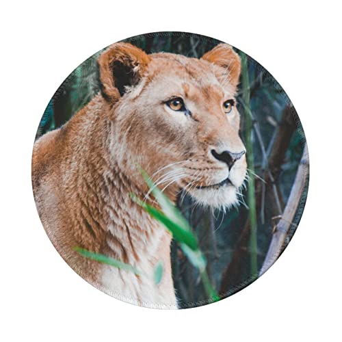 Tapis de souris antidérapant lion : fini les glissements sur votre bureau