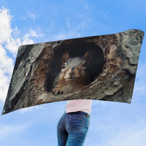 Drapeau de maison pour écureuil extérieur résistant quatre saisons