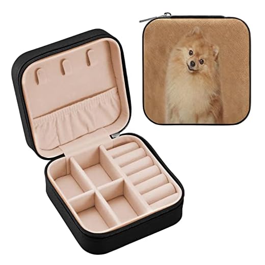 AMICHIC Caja de joyería Pomerania de viaje de cuero PU organizador portátil pequeño joyería de viaje mini cajas de joyería para mujeres y niñas cuadros