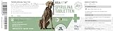 ReaVET Spirulina Tabletten für Hunde 500 Stück – in Lebensmittelqualität, 100% Reine Mikroalge in Lebensmittelqualität I Natürliche Proteinquelle, reich an Chlorophyll, Vitaminen & Mineralstoffen